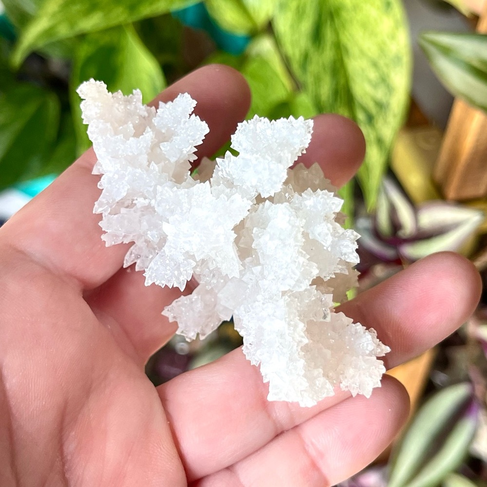 🤍Raw Aragonite Cave Calcite Crystal Cluster Specimen🤍 - Picture 1 of 4